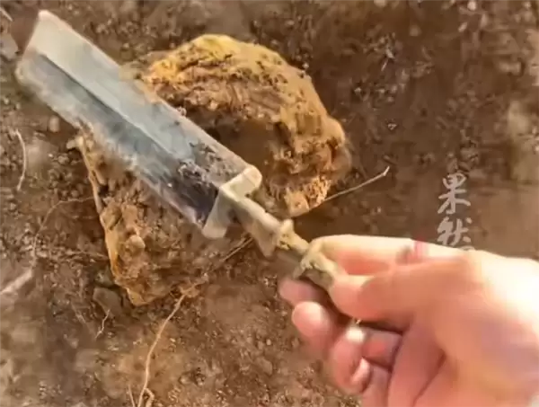 男子挖出战国青铜剑文物 上交博物馆后获奖励200元