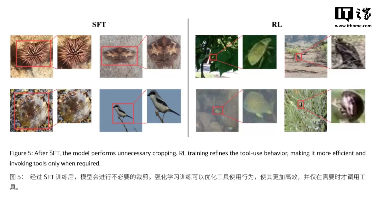 抑制 AI 幻觉：苹果 DeepMMSearch-R1 论文揭秘“图像裁剪”搜索术