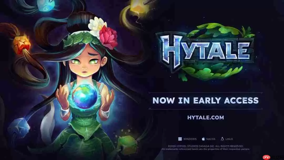 拳头发文祝贺《Hytale》发布 遭粉丝反对