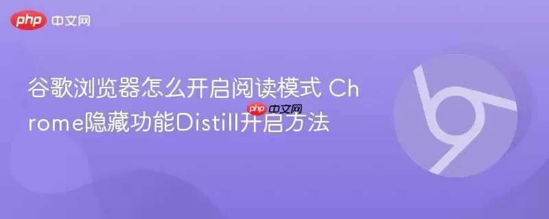 谷歌浏览器怎么开启阅读模式 Chrome隐藏功能Distill开启方法
