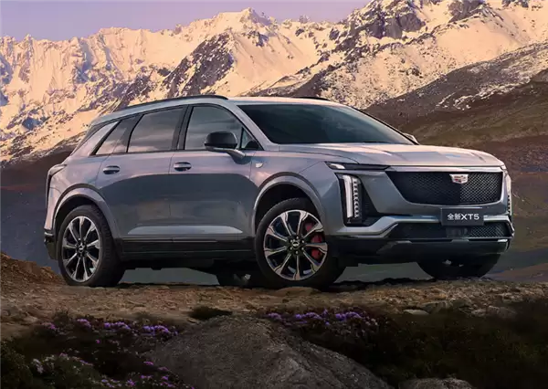 凯迪拉克女车主称遭4S店捆绑消费:刹车油价格是线上3倍 只卖套餐不单换