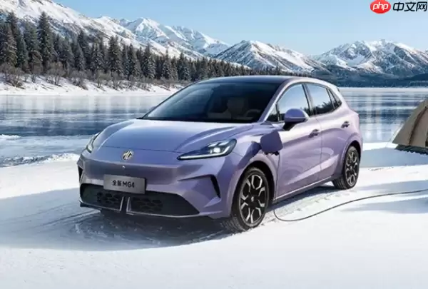 2025印度汽车品牌销售额一览 MG、比亚迪位列前十五