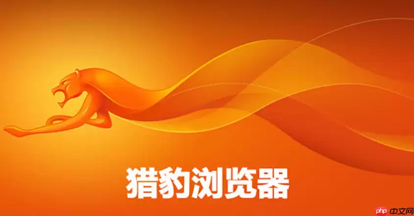 猎豹浏览器网址最新发布 猎豹浏览器在线入口直达