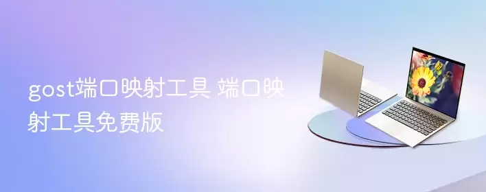 gost端口映射工具 端口映射工具免费版 - 游乐网