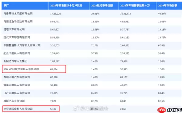 2025印度汽车品牌销售额一览 MG、比亚迪位列前十五