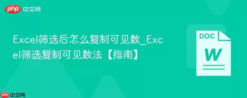 Excel筛选后怎么复制可见数_Excel筛选复制可见数法【指南】