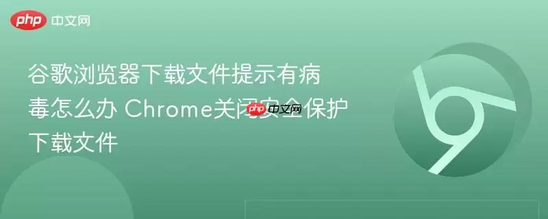 谷歌浏览器下载文件提示有病毒怎么办+Chrome关闭安全保护下载文件