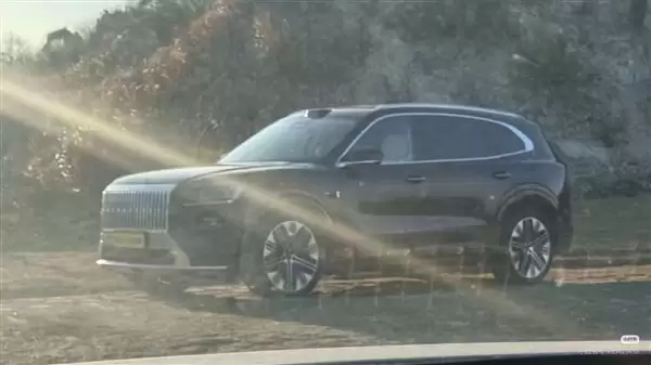 宝马X5国产平替 极氪8X实车出街