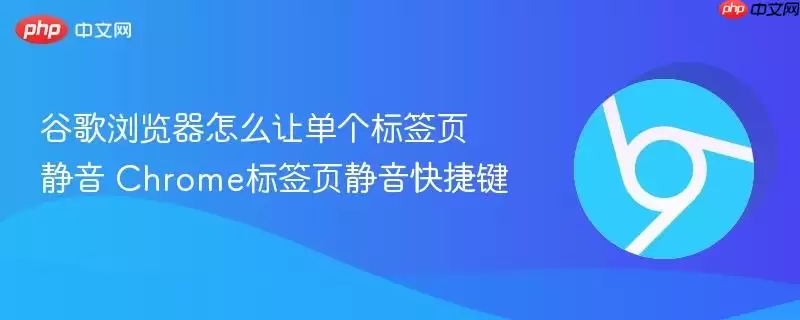 谷歌浏览器怎么让单个标签页静音 Chrome标签页静音快捷键