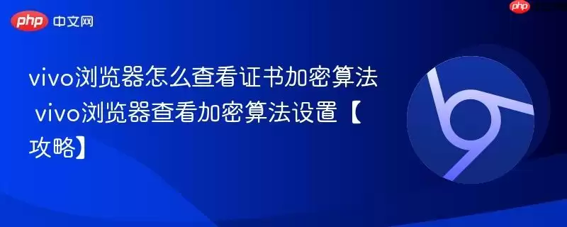 vivo浏览器怎么查看证书加密算法 vivo浏览器查看加密算法设置【攻略】