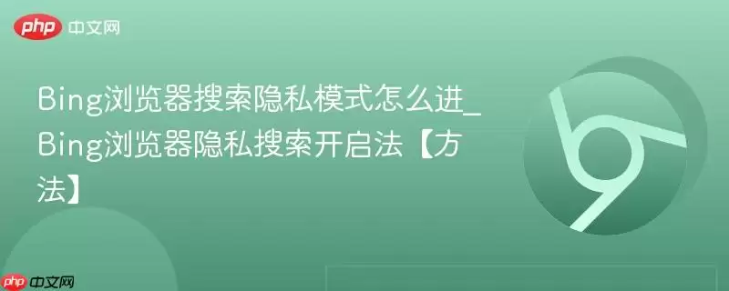 Bing浏览器搜索隐私模式怎么进_Bing浏览器隐私搜索开启法【方法】