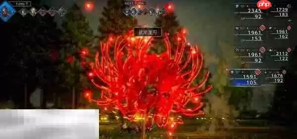 歧路旅人0蕾梅图鉴 歧路旅人0蕾梅人物介绍