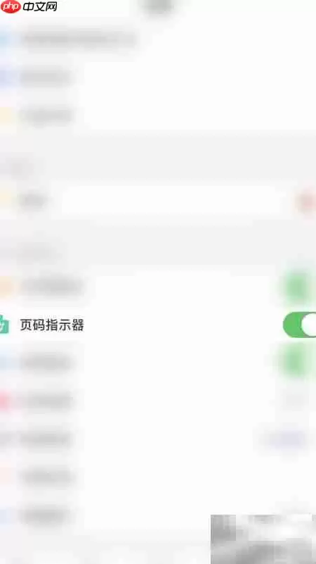 PDF Pro关闭页码指示器方法