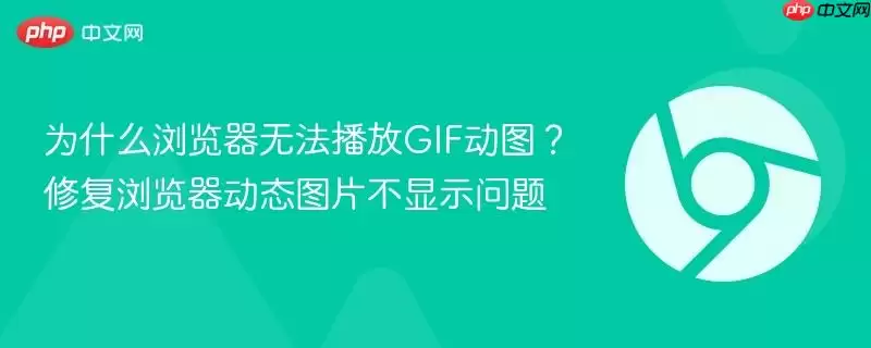 为什么浏览器无法播放GIF动图？修复浏览器动态图片不显示问题