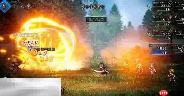 歧路旅人0蕾梅图鉴 歧路旅人0蕾梅人物介绍