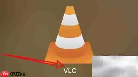 mac VLC如何开启网络元数据访问