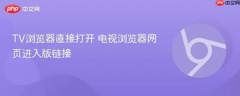 TV浏览器直接打开 电视浏览器网页进入版链接
