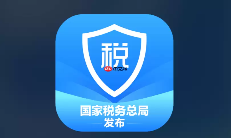 个税专项附加扣除入口 2025个税申报入口