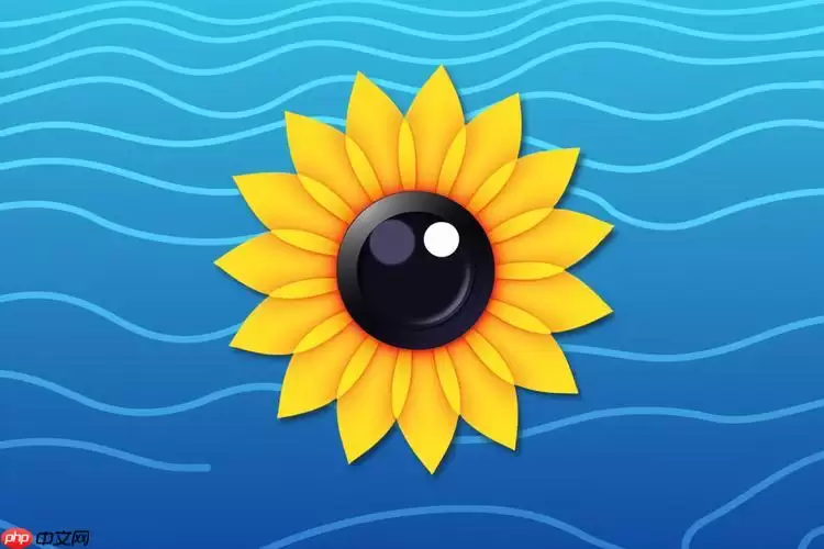 向日葵客户端安卓远程控制教程