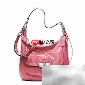 克里斯汀包包维修指南