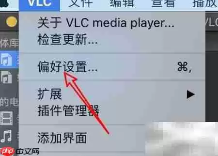 mac VLC如何开启网络元数据访问