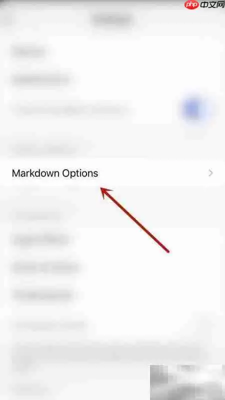 Drafts开启Markdown兼容设置
