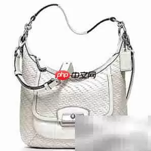 克里斯汀包包维修指南