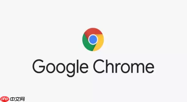 google浏览器扩展插件推荐_谷歌Chrome浏览器最佳扩展插件