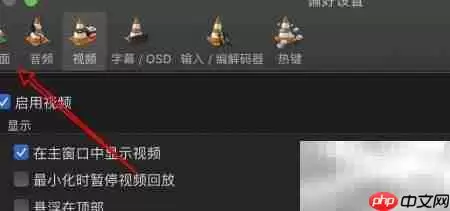 mac VLC如何开启网络元数据访问