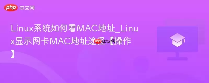 Linux系统如何看MAC地址_Linux显示网卡MAC地址途径【操作】
