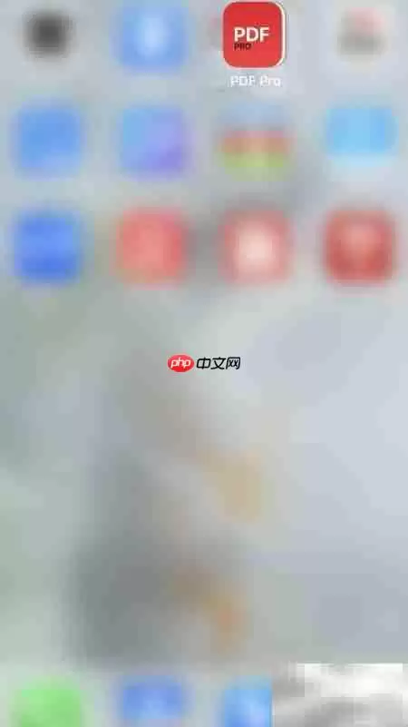 PDF Pro关闭页码指示器方法