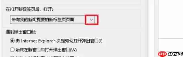 ie11怎么设置标签页显示-ie11设置标签页显示的方法