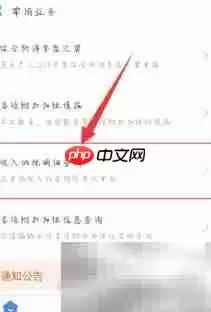 个税APP查工资记录指南