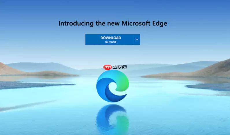 Edge浏览器中文叫什么？Microsoft Edge中文名称与版本说明