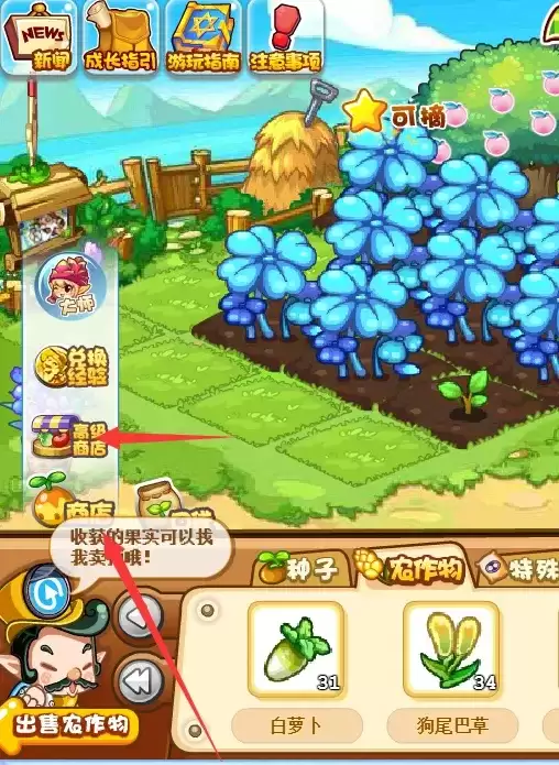 洛克王国苹果在哪里获得2026