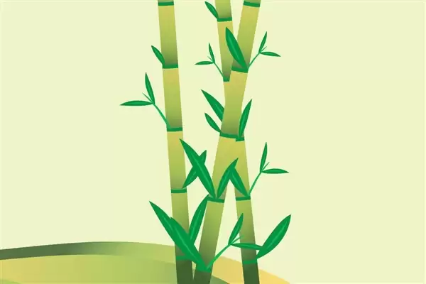 竹子穿透路灯杆内部顽强生长 被网友称为“竹坚强”