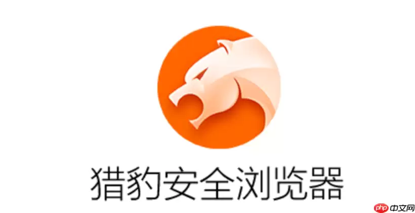 猎豹浏览器安全版正式入口 猎豹浏览器最新下载通道