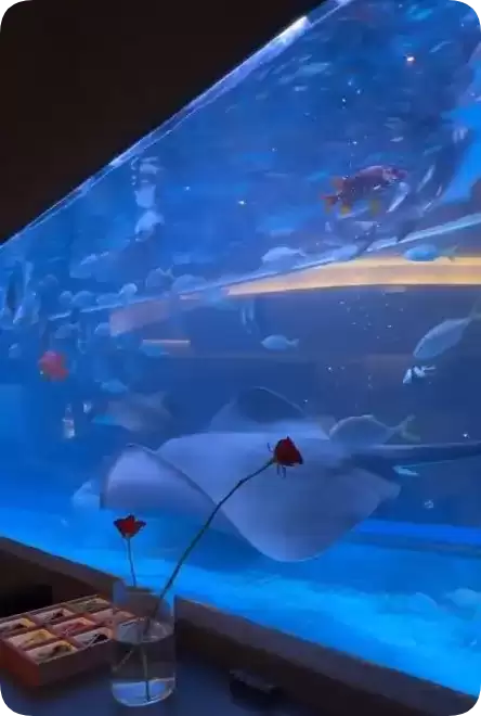 网友质疑火锅店用鱼缸养饲养鲨鱼 涉事火锅店回应:有相关证书