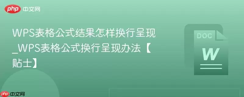 WPS 表格公式结果换行呈现方法示例