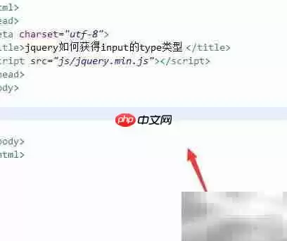 jQuery获取input的type类型方法