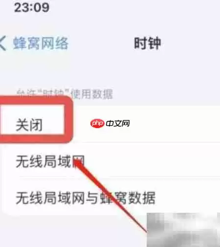 iPhone11Pro禁止时钟联网设置