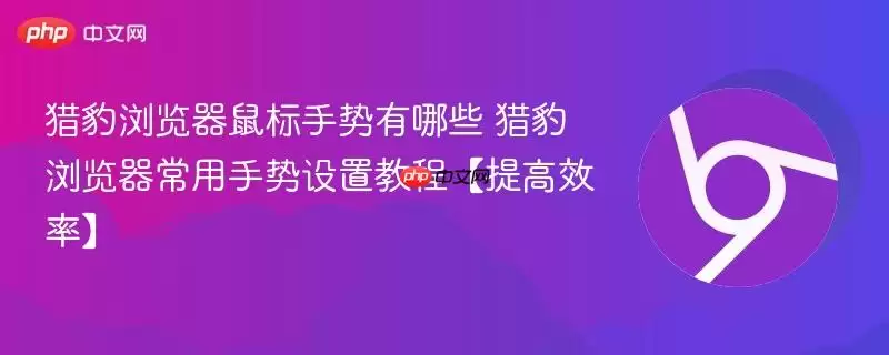 猎豹浏览器鼠标手势有哪些 猎豹浏览器常用手势设置教程【提高效率】