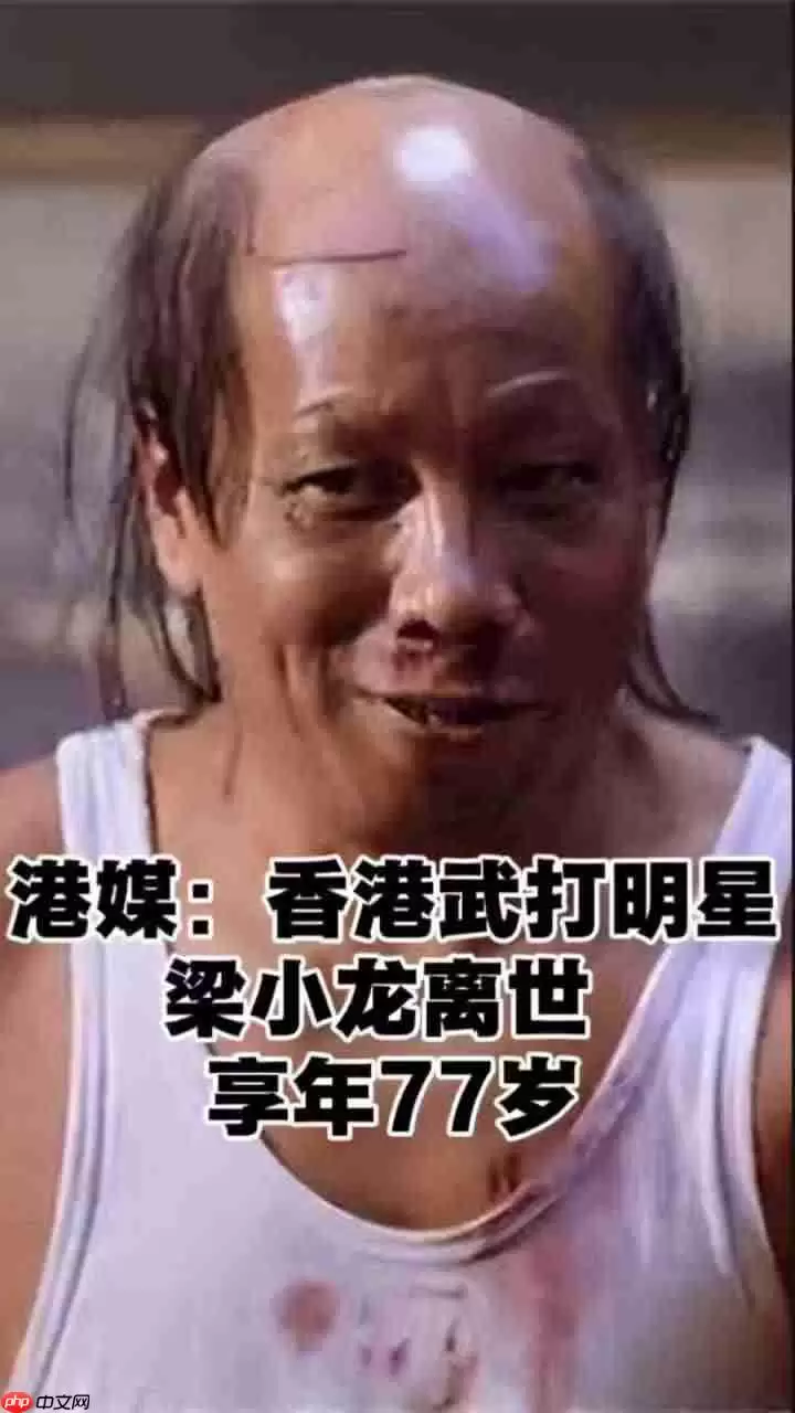 曾饰演陈真、“火云邪神”的功夫影星梁小龙于 1 月 14 日不幸逝世