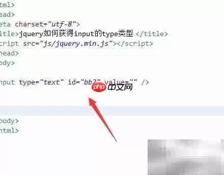 jQuery获取input的type类型方法