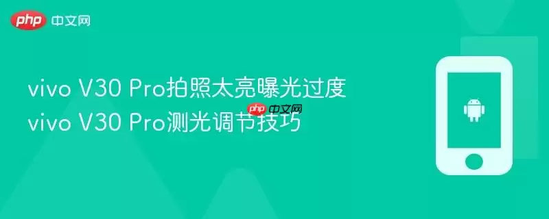 vivo V30 Pro拍照太亮曝光过度 vivo V30 Pro测光调节技巧