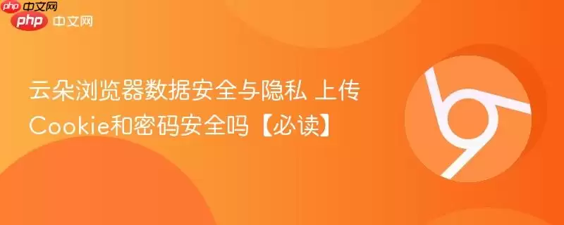 云朵浏览器数据安全与隐私 上传Cookie和密码安全吗必读