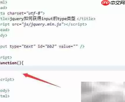 jQuery获取input的type类型方法