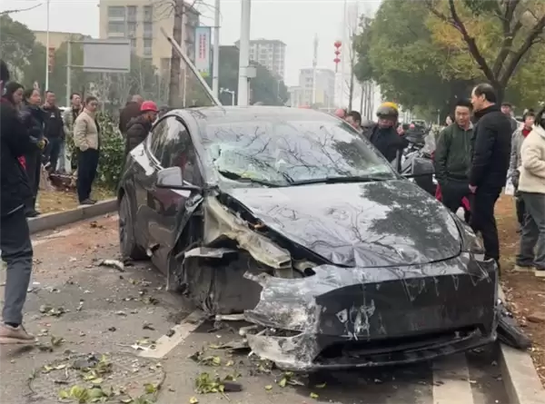 特斯拉Model Y路口突然失控 冲上绿化带原地起飞