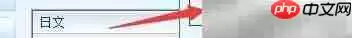 日语软件如何显示中文