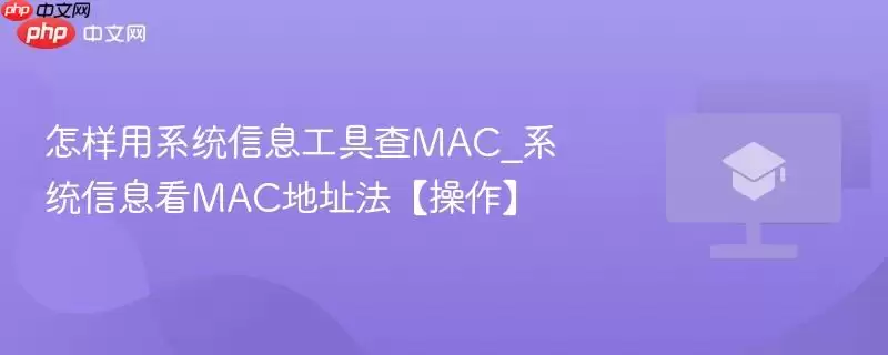 怎样用系统信息工具查MAC_系统信息看MAC地址法【操作】